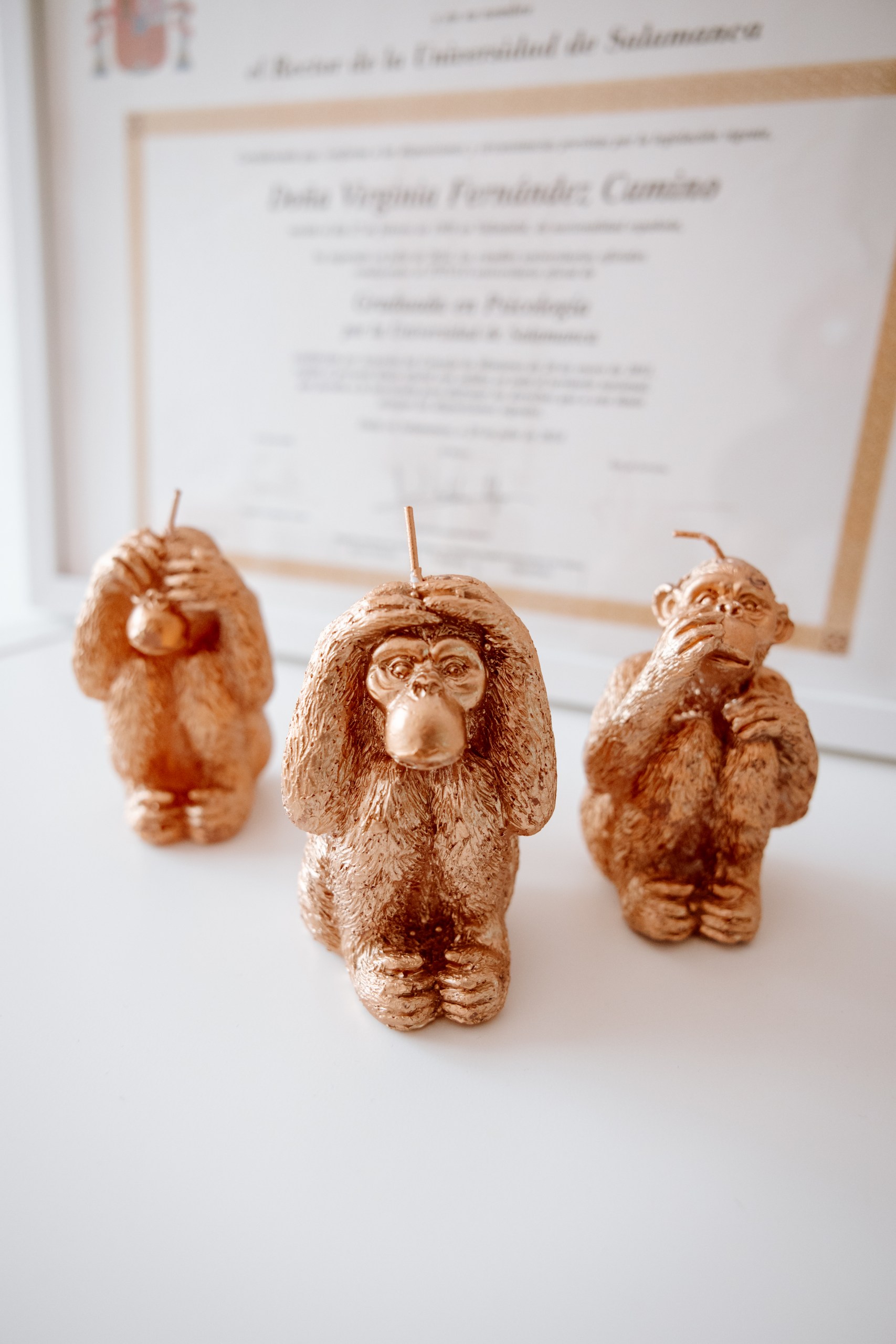 sanamente-2024_024_resized