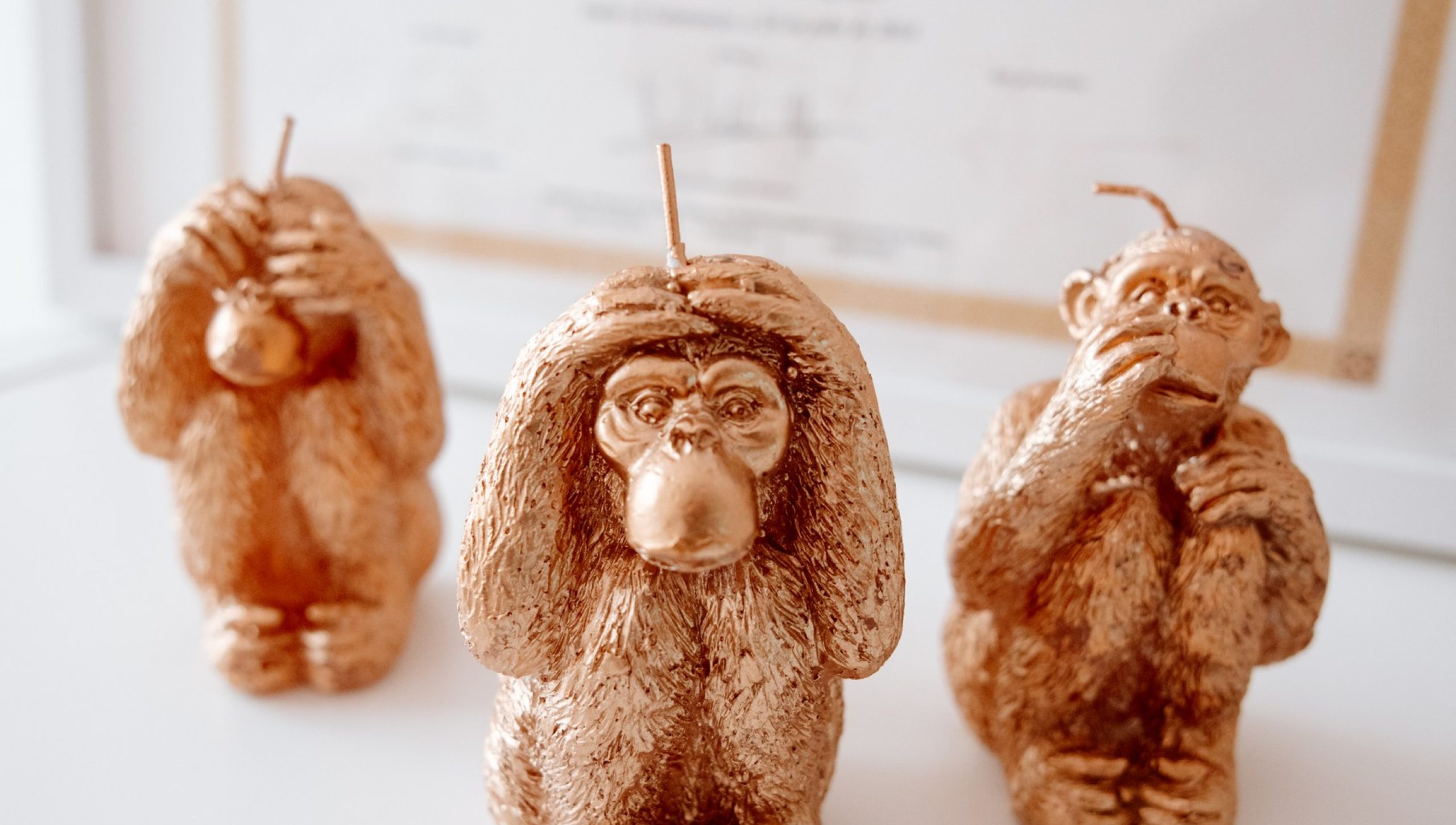 sanamente-2024_024_resized sanamente-2024_024_resized